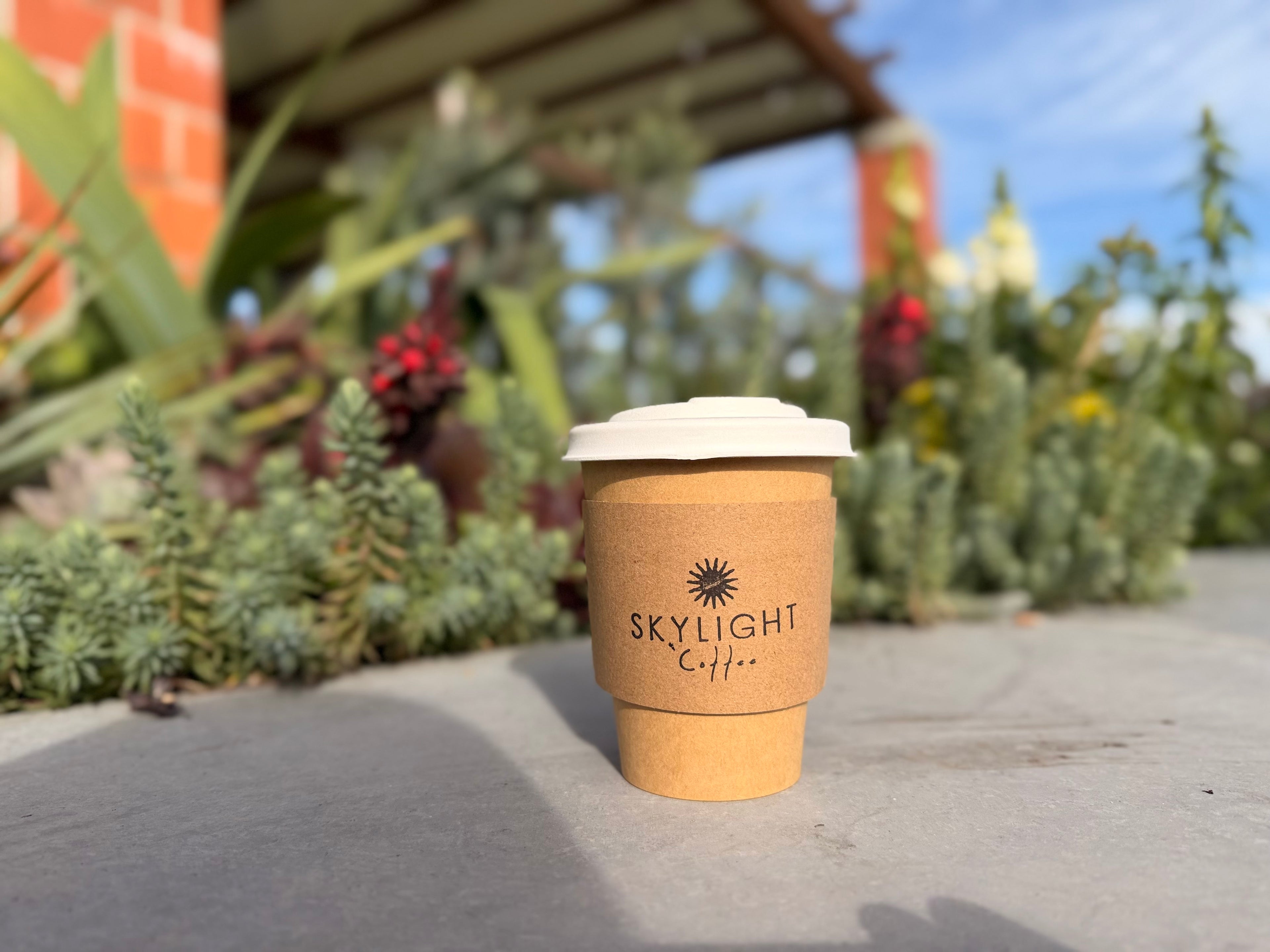 Skylight Coffee cup on a sidewalk with plants and a building in the background